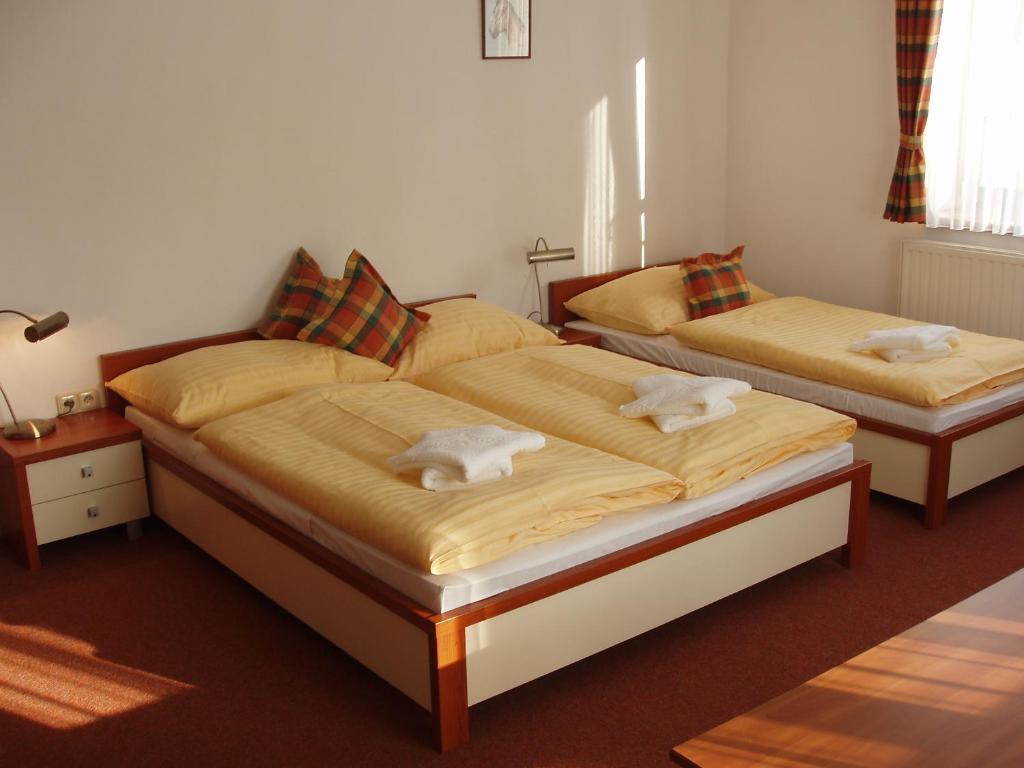 Hotel Loucky Litvinov Room photo